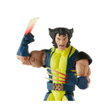 Hasbro Marvel Legends X-Men - Wolverine 6IN Action Figure