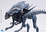 Hiya Toys: AVP - Alien Queen PX 1/8 Scale Figure