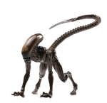 Alien 3 Look Up Dog Alien (PX Previews) 1/8 Scale AF