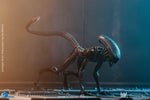 Alien 3 Look Up Dog Alien (PX Previews) 1/8 Scale AF