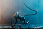 Alien 3 Look Up Dog Alien (PX Previews) 1/8 Scale AF