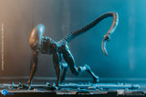 Alien 3 Look Up Dog Alien (PX Previews) 1/8 Scale AF