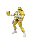 MMPR/TMNT Lighting Mikelangelo & April Action Figures 2PK