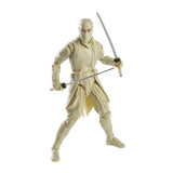 G.I. Joe Classified Collection Snake Eyes Origins Storm Shadow 6 Inch Action Figure