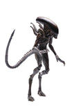 Alien Resurrection - Lead Alien Warrior (PX Previews) (J/28)