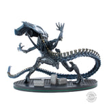 Quantum Mechanix Aliens Q-Fig Diorama - Alien Queen