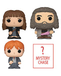 Funko Bitty Pop! Harry Potter - Hermione 4-pack Set w/ Mystery Chase (Pre-Order ships June)